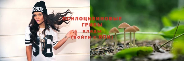 СК Алзамай